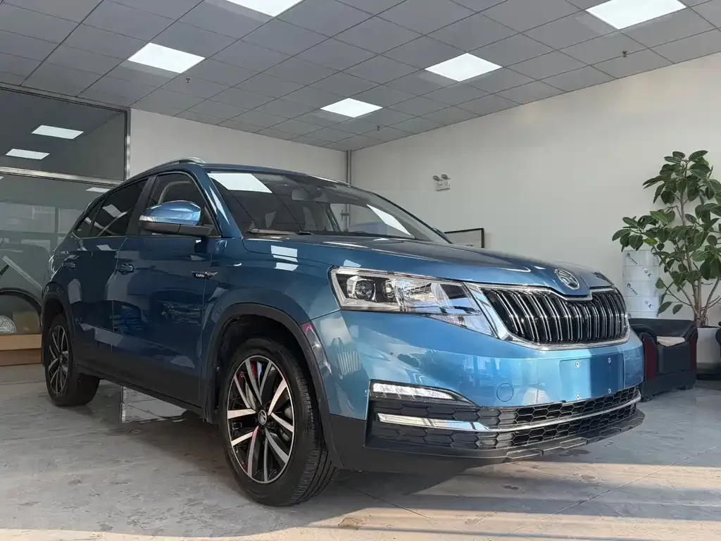 Skoda Kamiq 2022 из CN, фото 3