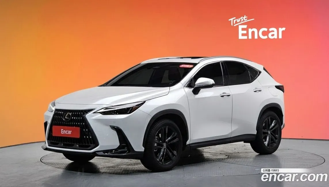 Lexus NX 2025 из KR, фото 1