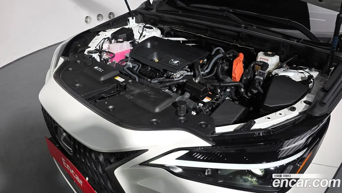 Lexus NX 2025 из KR, фото 8