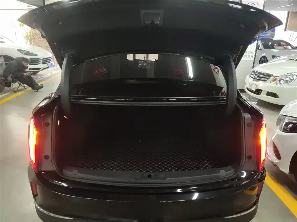 Hongqi E-QM5 2023 из CN, фото 9