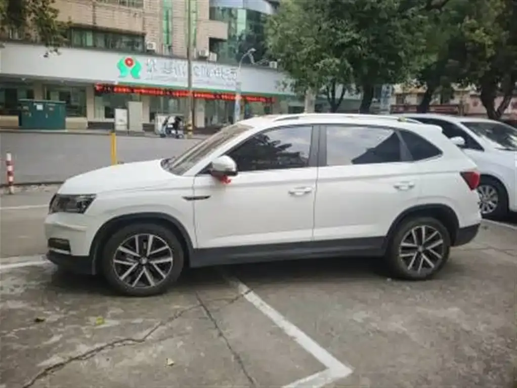 Skoda Kamiq 2023 из CN, фото 3