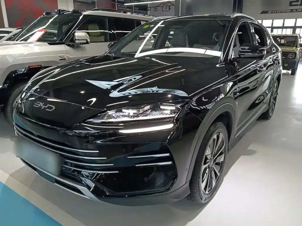 BYD PLUS New Energy 2025 из CN, фото 1