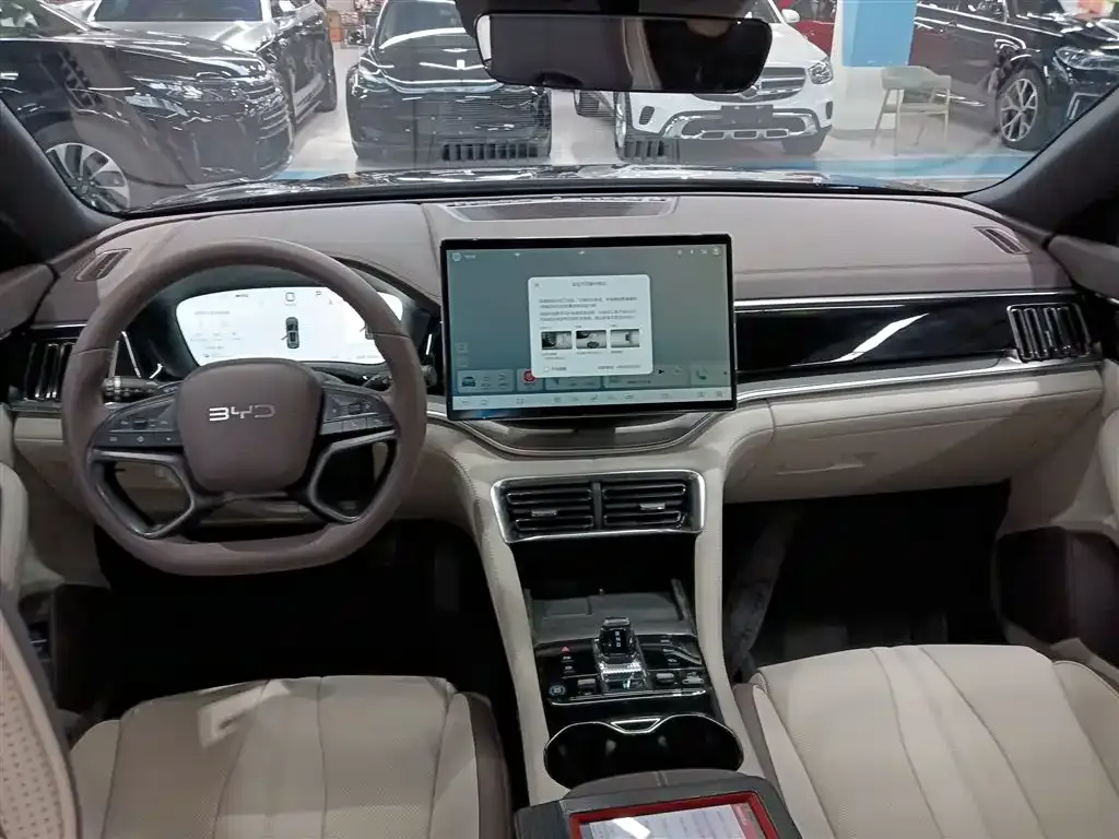 BYD PLUS New Energy 2025 из CN, фото 2