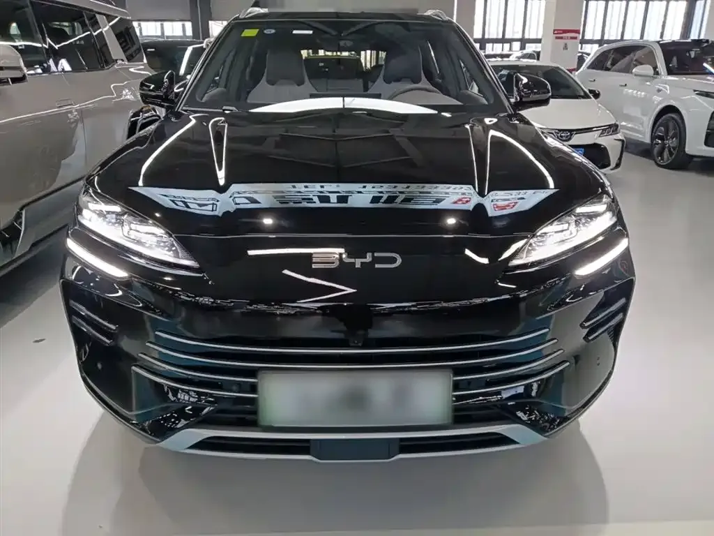 BYD PLUS New Energy 2025 из CN, фото 4