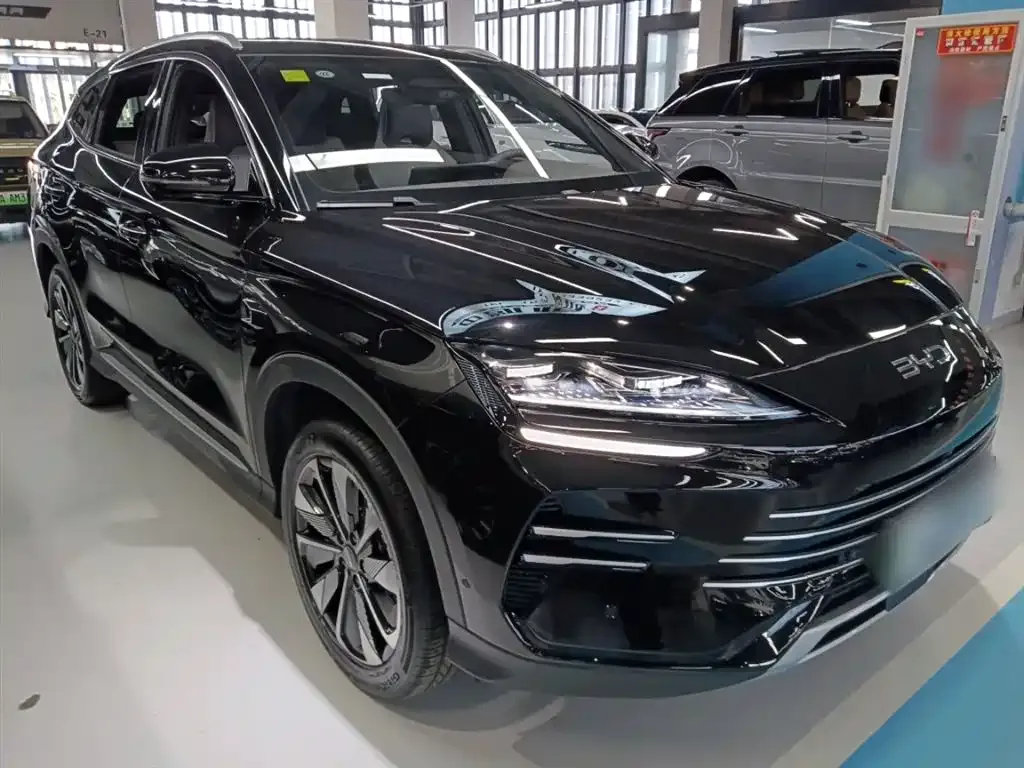 BYD PLUS New Energy 2025 из CN, фото 5