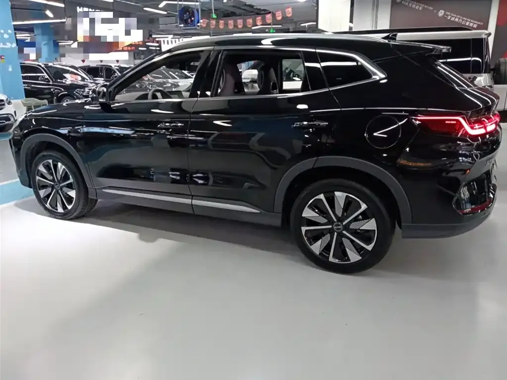 BYD PLUS New Energy 2025 из CN, фото 3