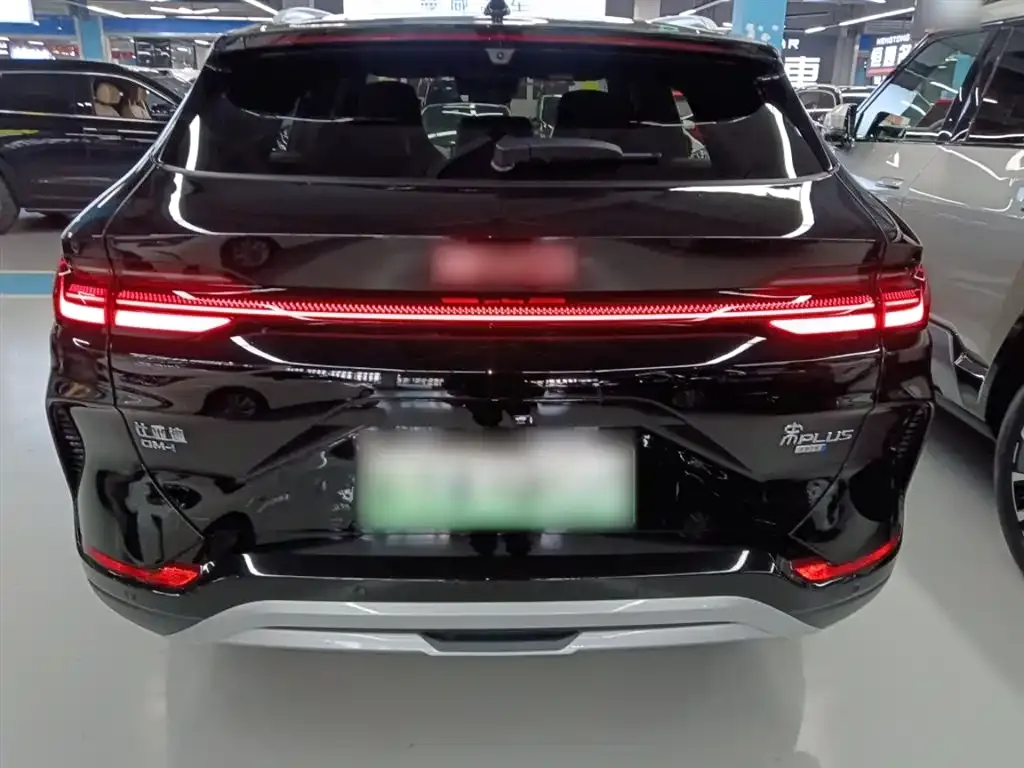 BYD PLUS New Energy 2025 из CN, фото 10