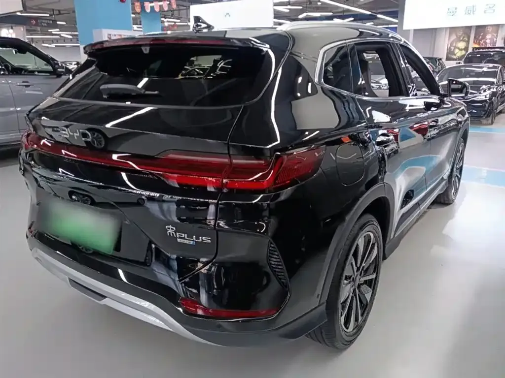 BYD PLUS New Energy 2025 из CN, фото 6