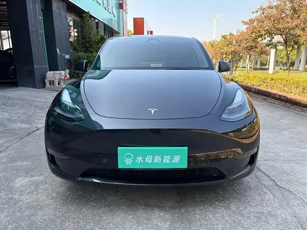 Tesla Model Y 2024 из CN, фото 5