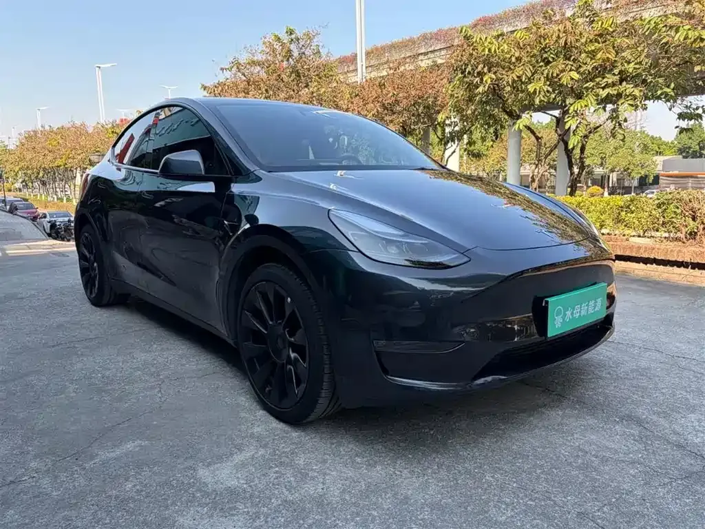 Tesla Model Y 2024 из CN, фото 9
