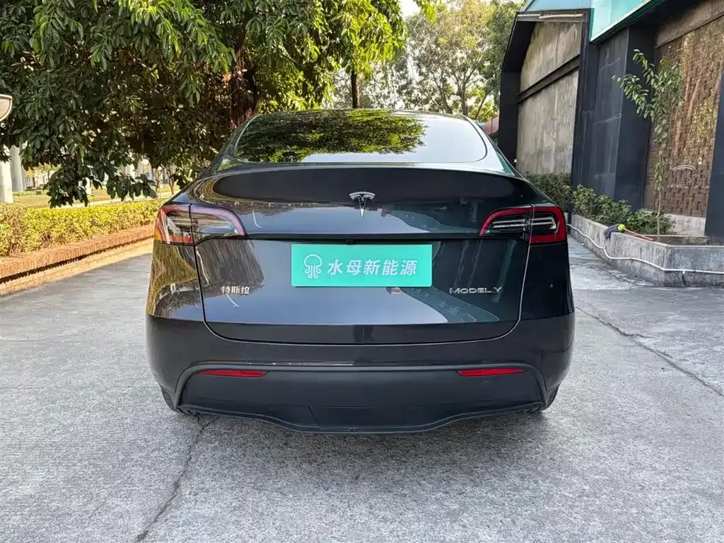Tesla Model Y 2024 из CN, фото 7