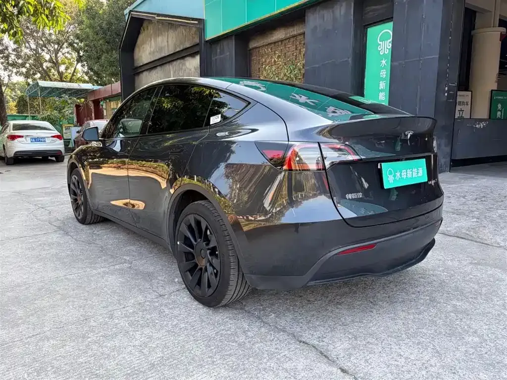 Tesla Model Y 2024 из CN, фото 6