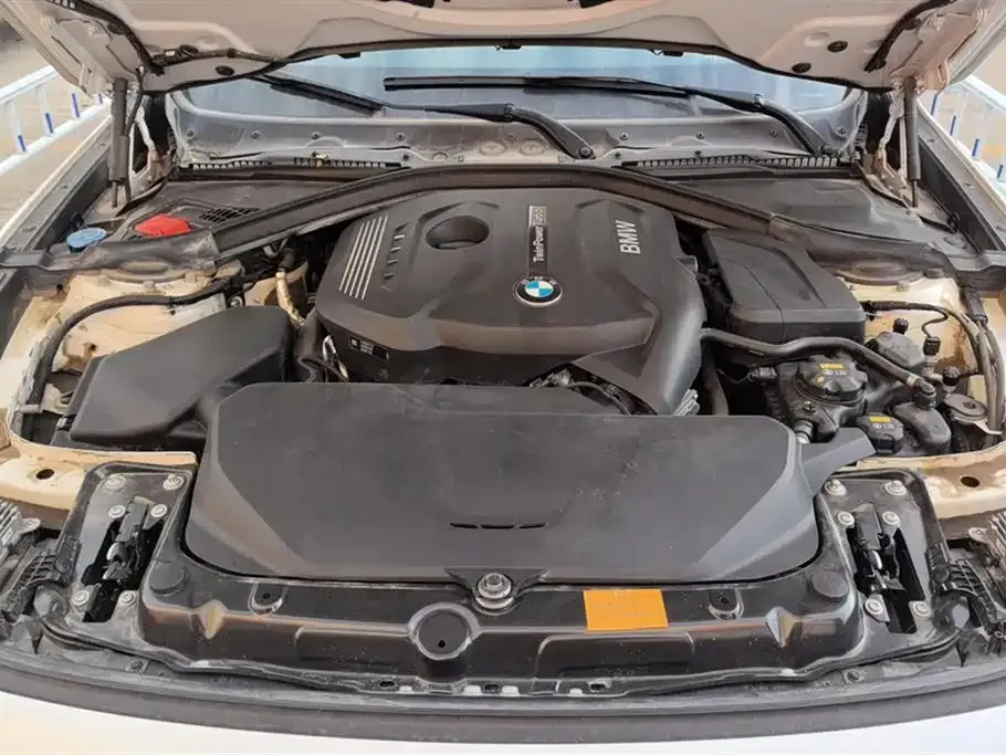 BMW 3 Series GT 2021 из CN, фото 10