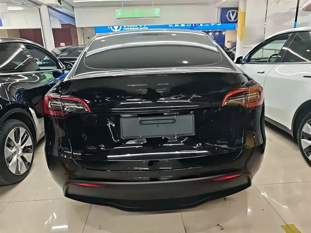 Tesla Model Y 2023 из CN, фото 6