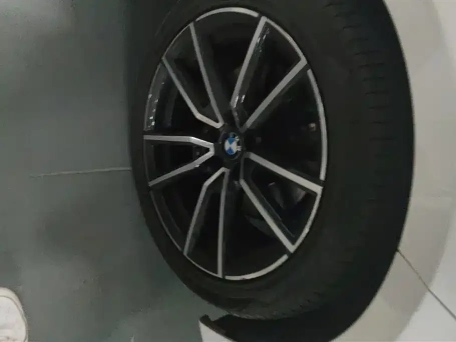BMW 3 Series 2022 из CN, фото 4