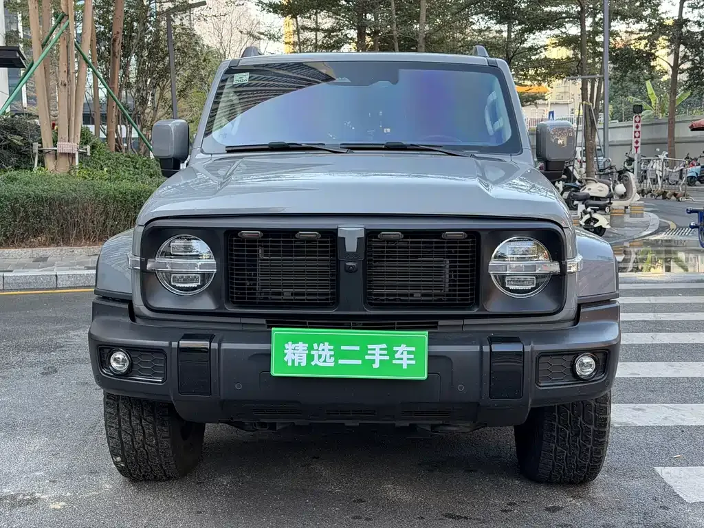 Tank 300 New Energy 2024 из CN, фото 8