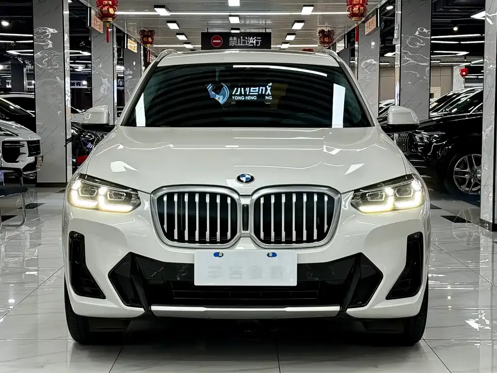 BMW X3 2024 из CN, фото 3