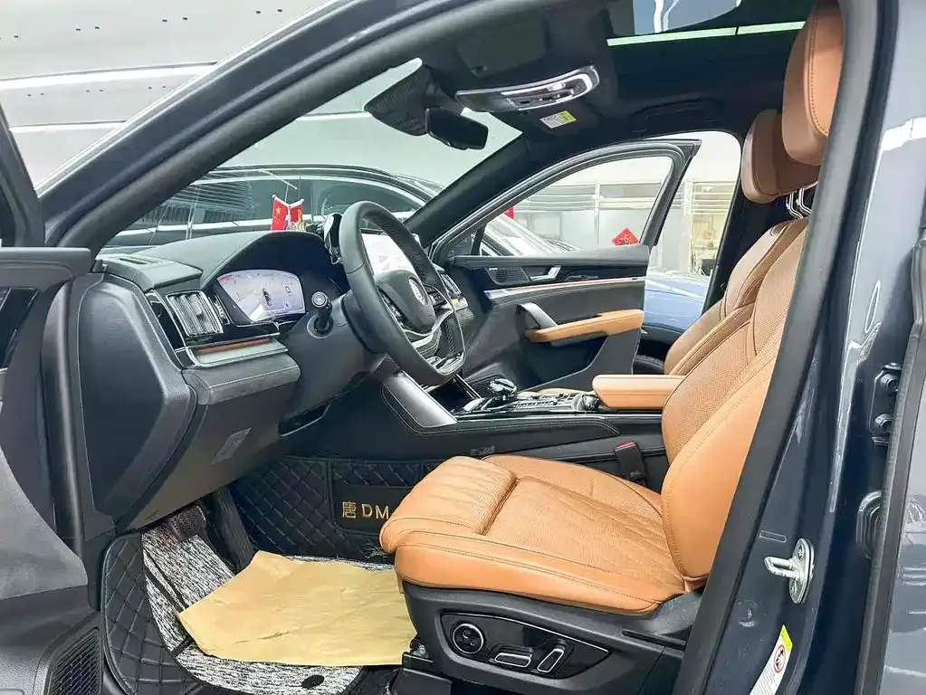 BYD Tang New Energy 2023 из CN, фото 10