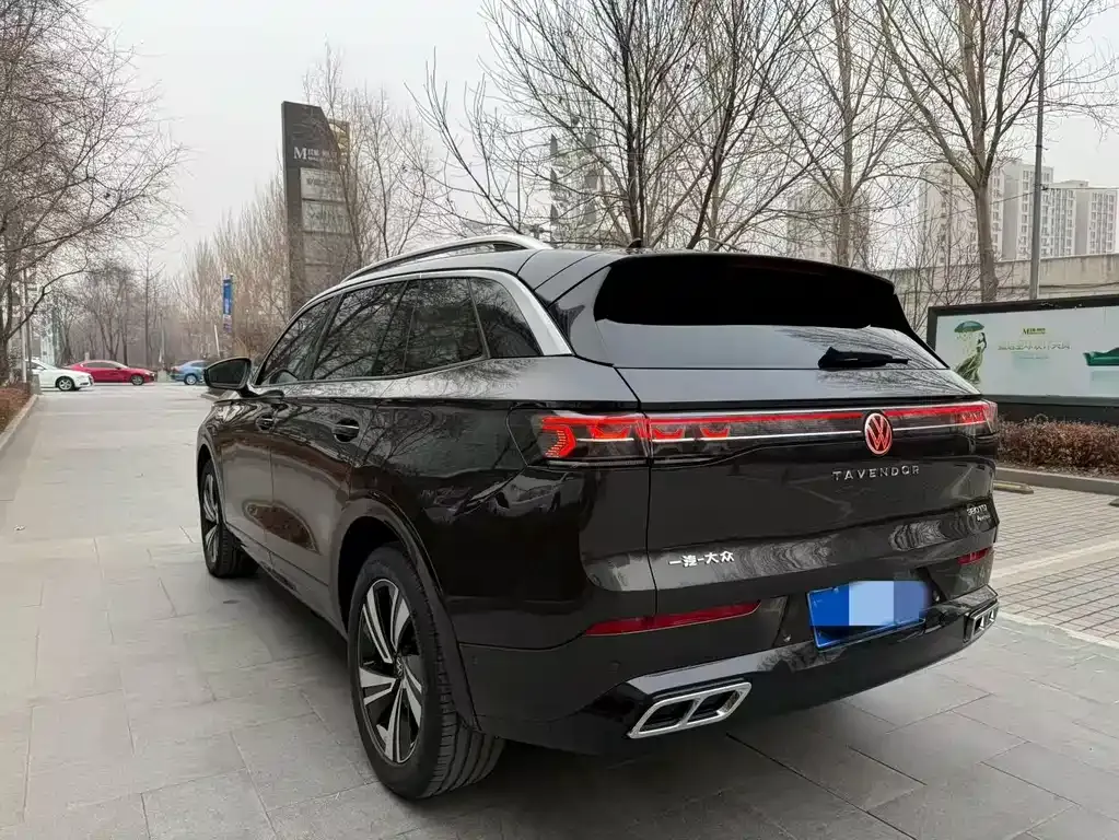 Volkswagen Tavendor 2025 из CN, фото 7