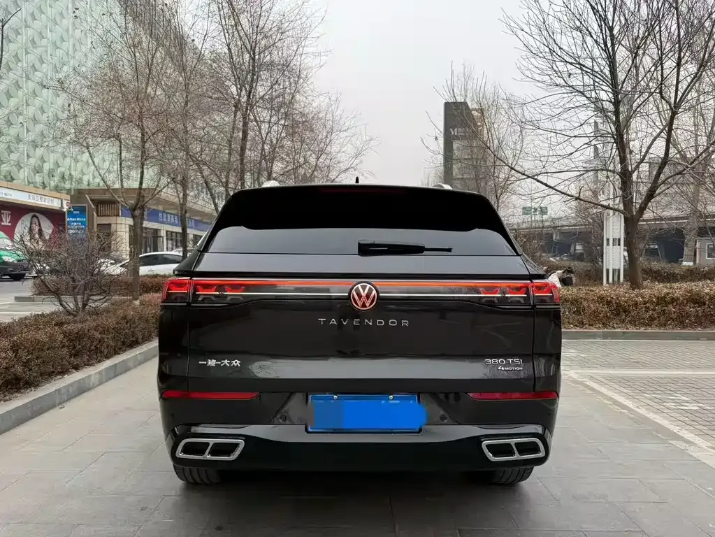 Volkswagen Tavendor 2025 из CN, фото 8