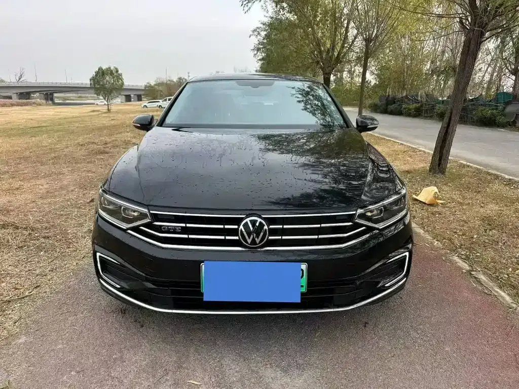 Volkswagen Magotan GTE PHEV 2023 из CN, фото 2