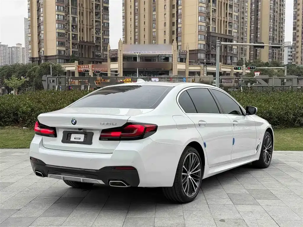 BMW 5 Series 2023 из CN, фото 7