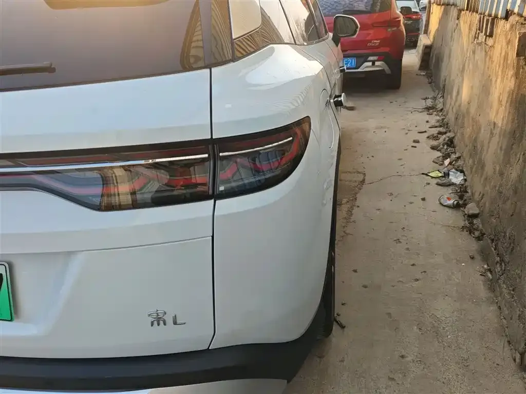 BYD L DM-i 2024 из CN, фото 4