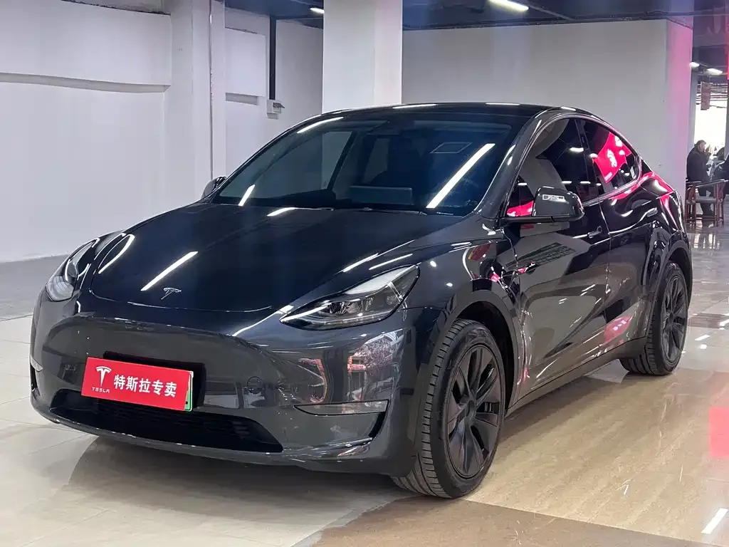 Tesla Model Y — фото 1