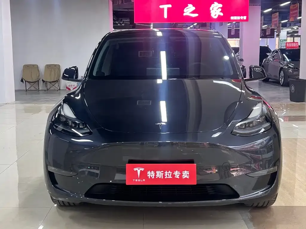 Tesla Model Y — фото 10