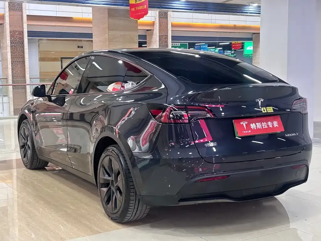 Tesla Model Y — фото 8