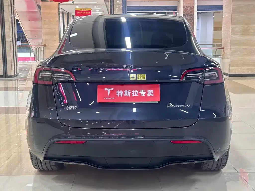 Tesla Model Y — фото 2