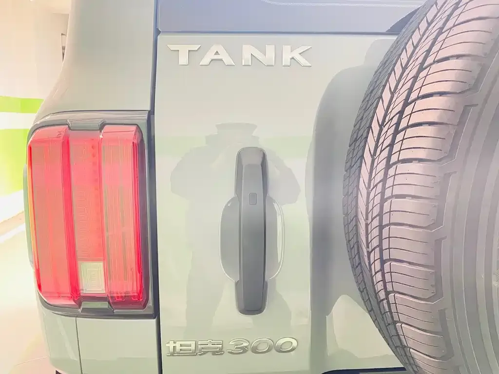 Tank 300 2023 из CN, фото 4