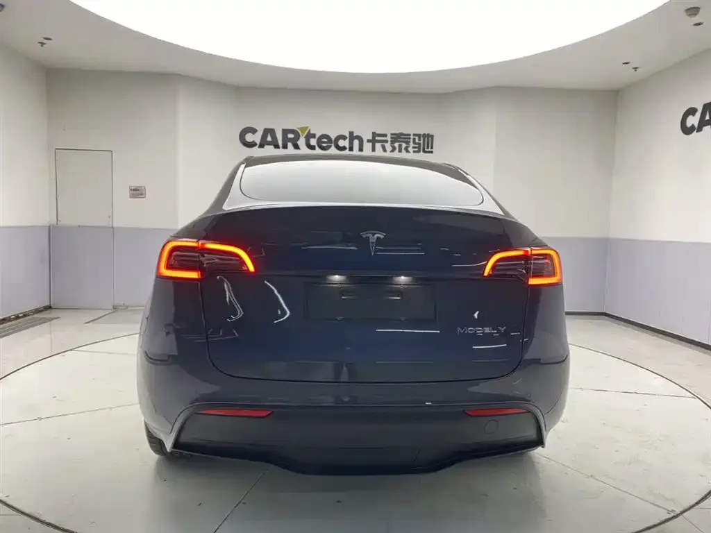 Tesla Model Y 2021 из CN, фото 6