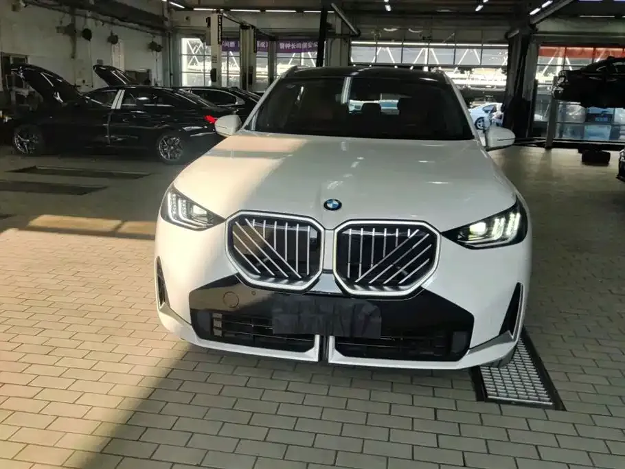 BMW X3 2025 из CN, фото 9