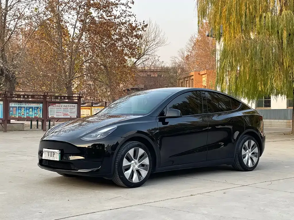 Tesla Model Y 2021 из CN, фото 1