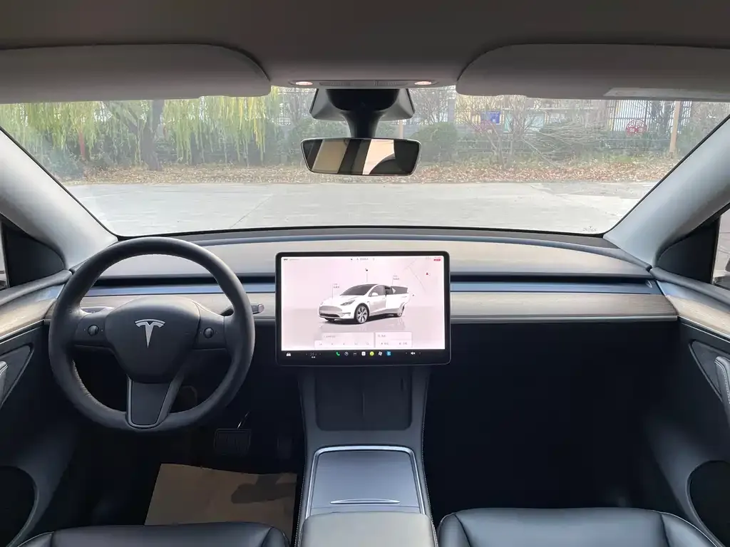 Tesla Model Y 2021 из CN, фото 8