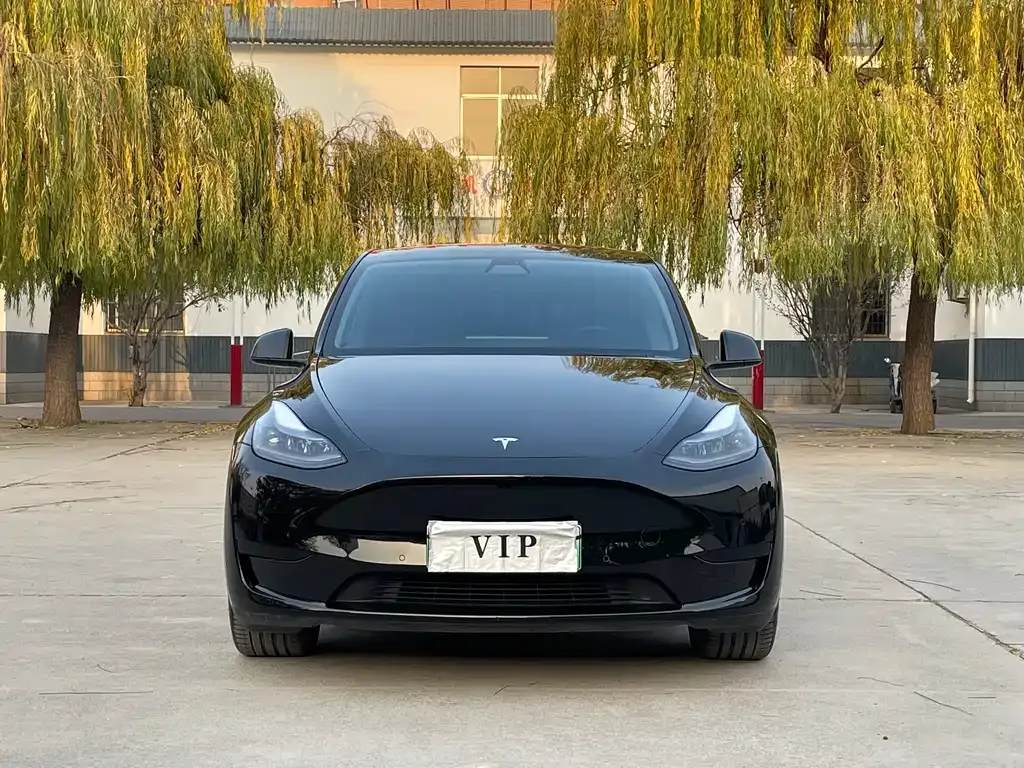 Tesla Model Y 2021 из CN, фото 6