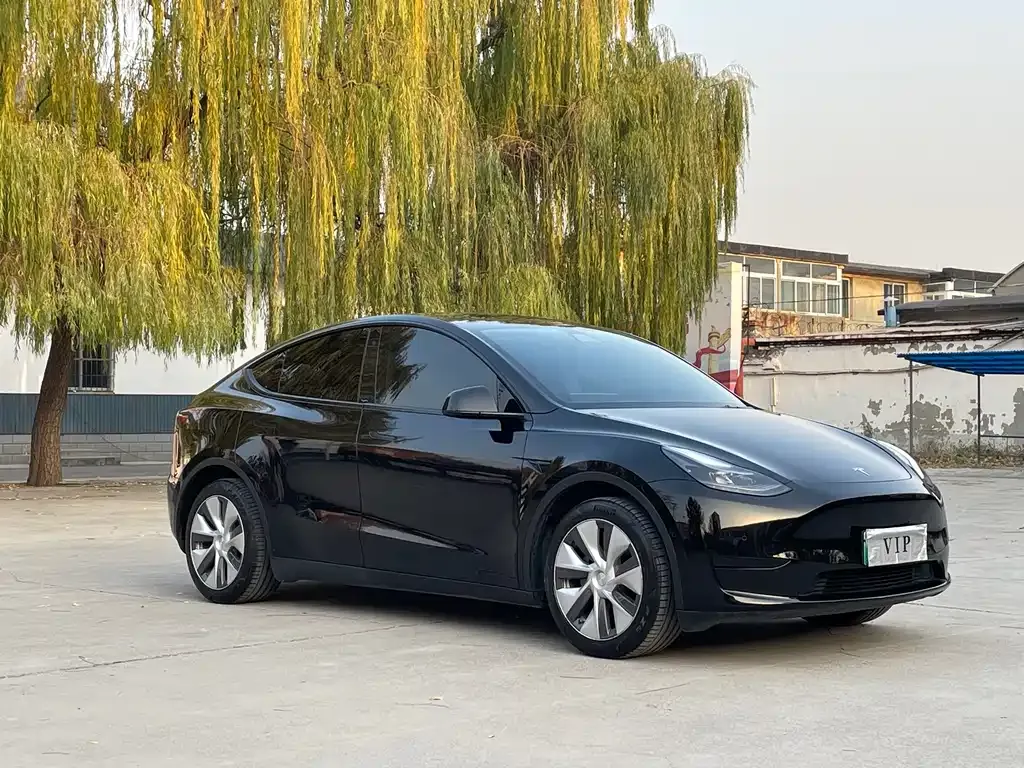 Tesla Model Y 2021 из CN, фото 7