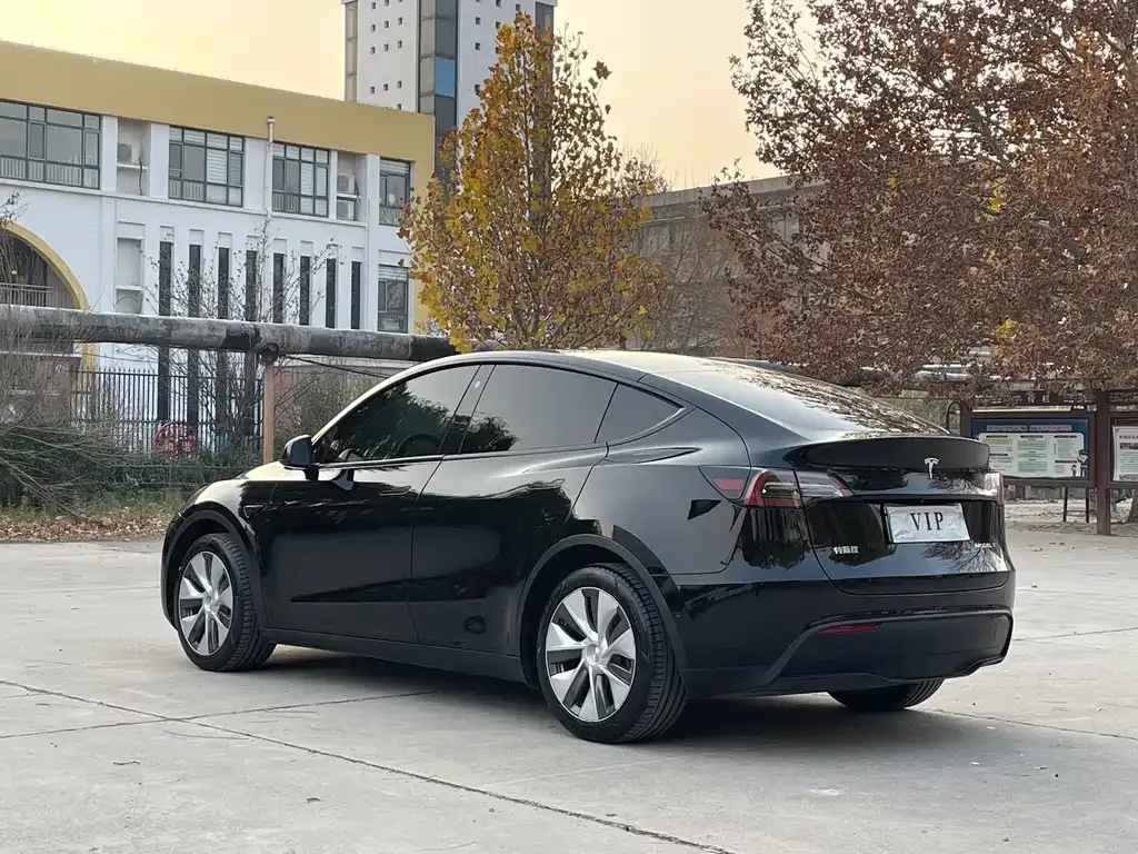 Tesla Model Y 2021 из CN, фото 2