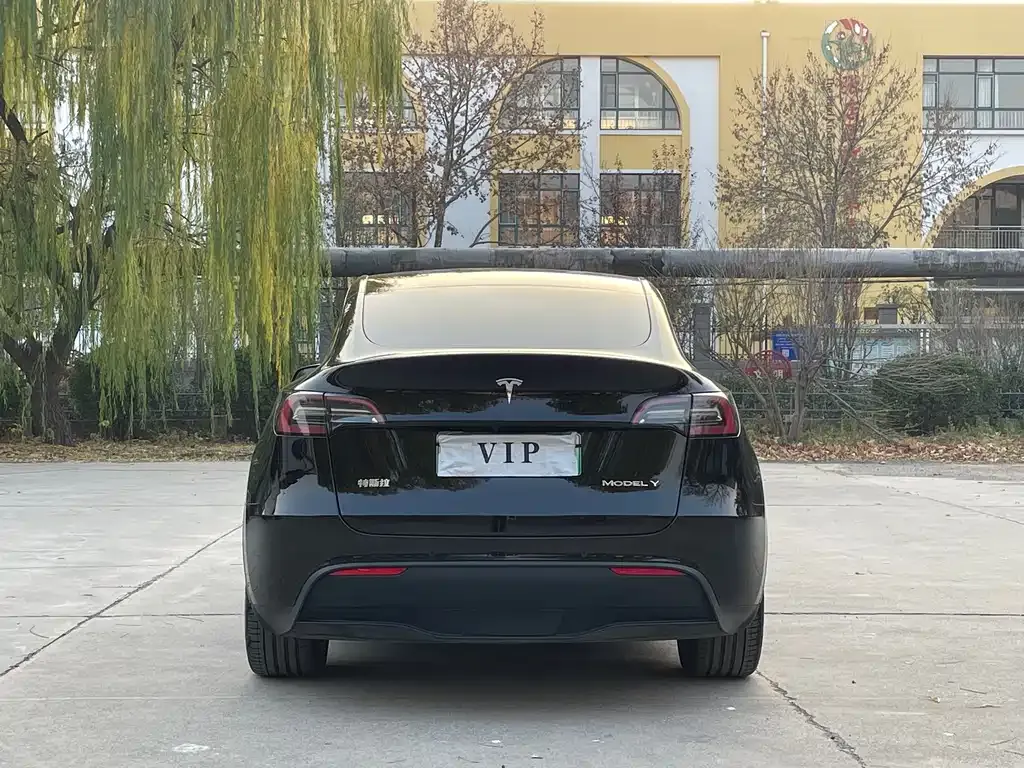 Tesla Model Y 2021 из CN, фото 9