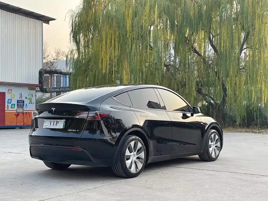 Tesla Model Y 2021 из CN, фото 10
