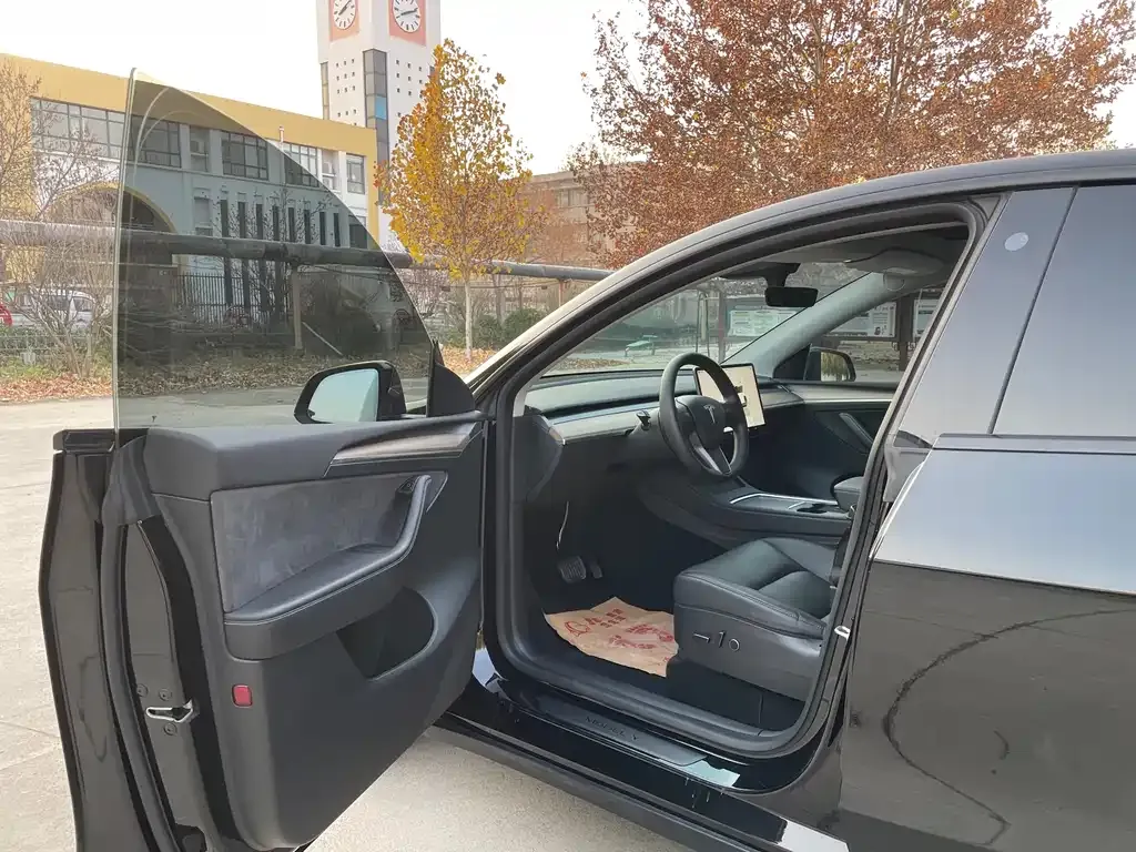 Tesla Model Y 2021 из CN, фото 4