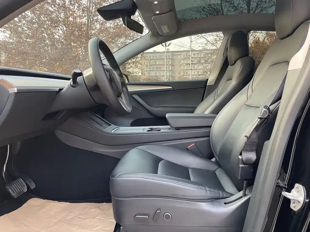 Tesla Model Y 2021 из CN, фото 3