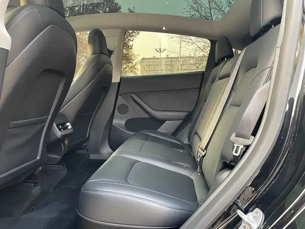 Tesla Model Y 2021 из CN, фото 5