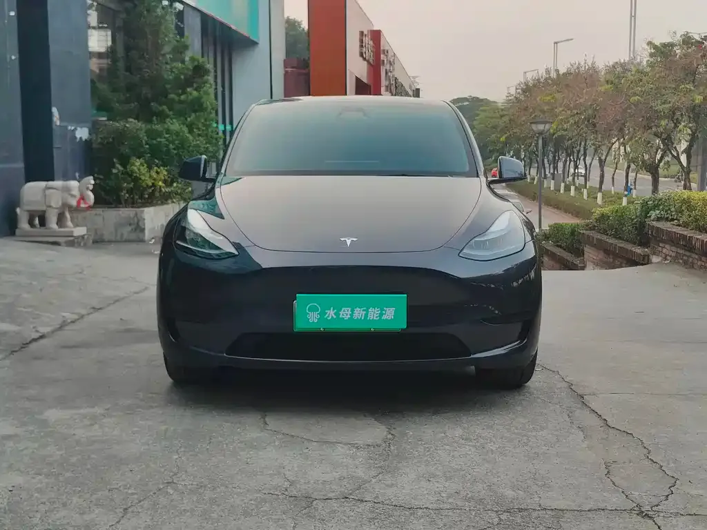 Tesla Model Y 2024 из CN, фото 6