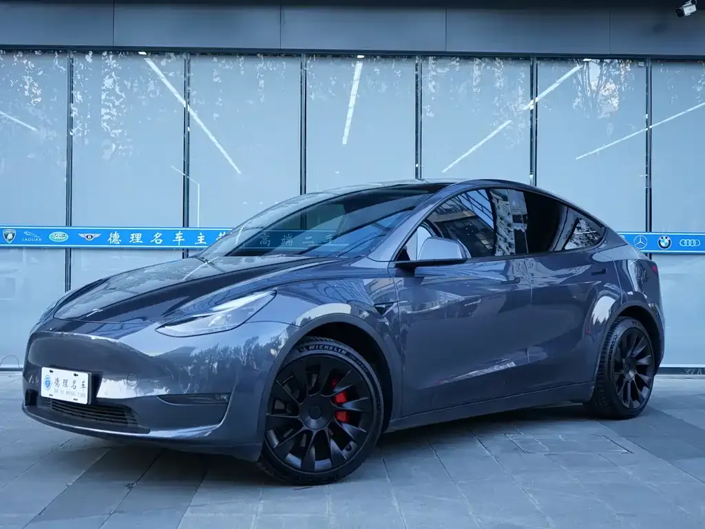 Tesla Model Y — фото 1