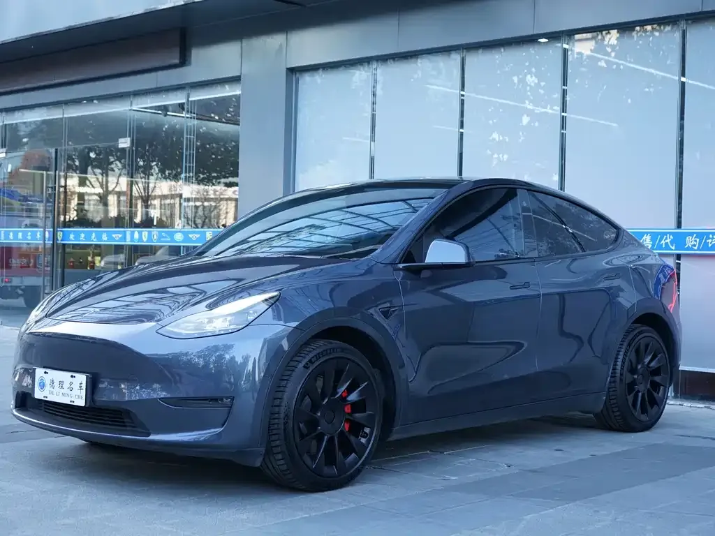 Tesla Model Y — фото 2