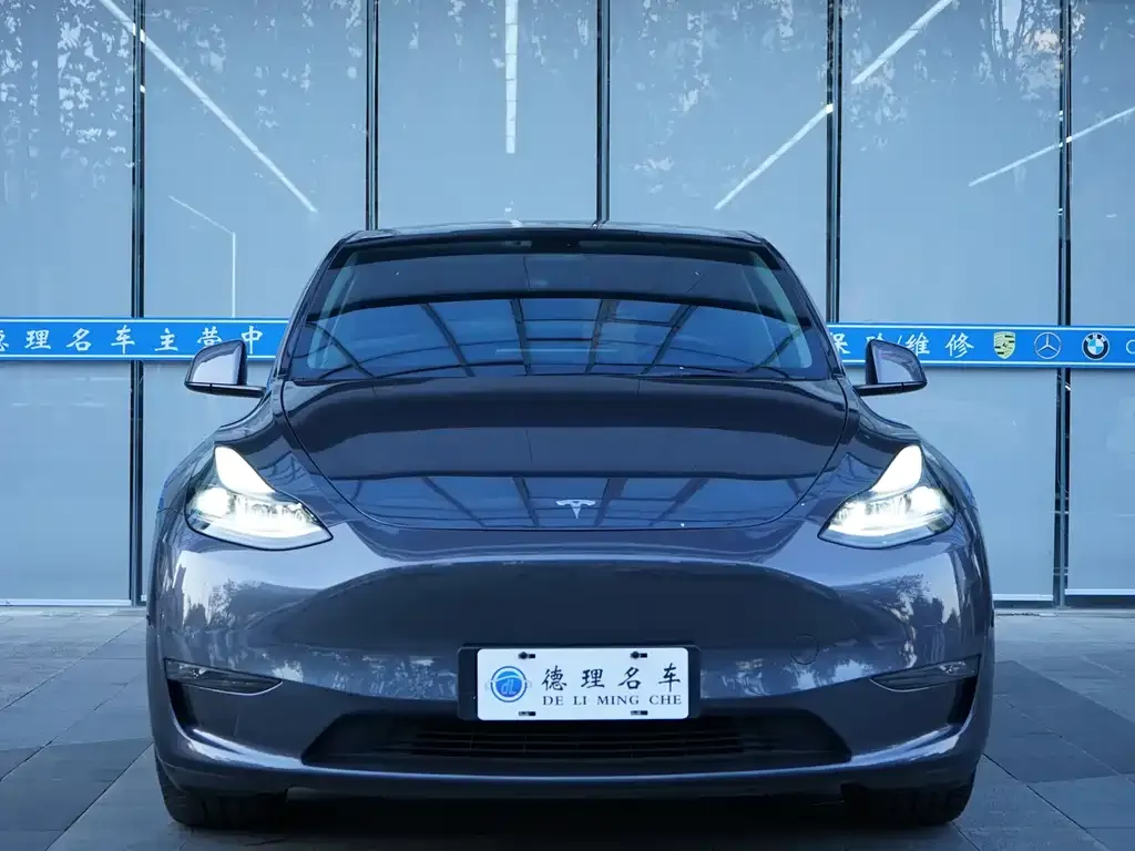 Tesla Model Y — фото 3