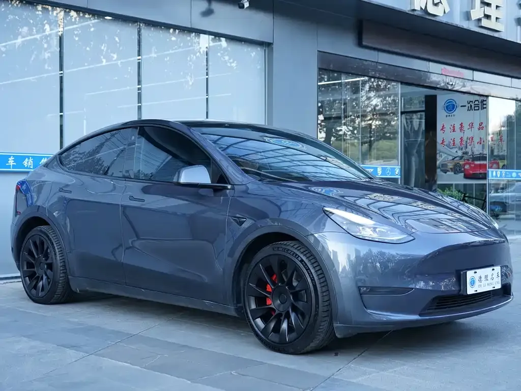 Tesla Model Y — фото 4