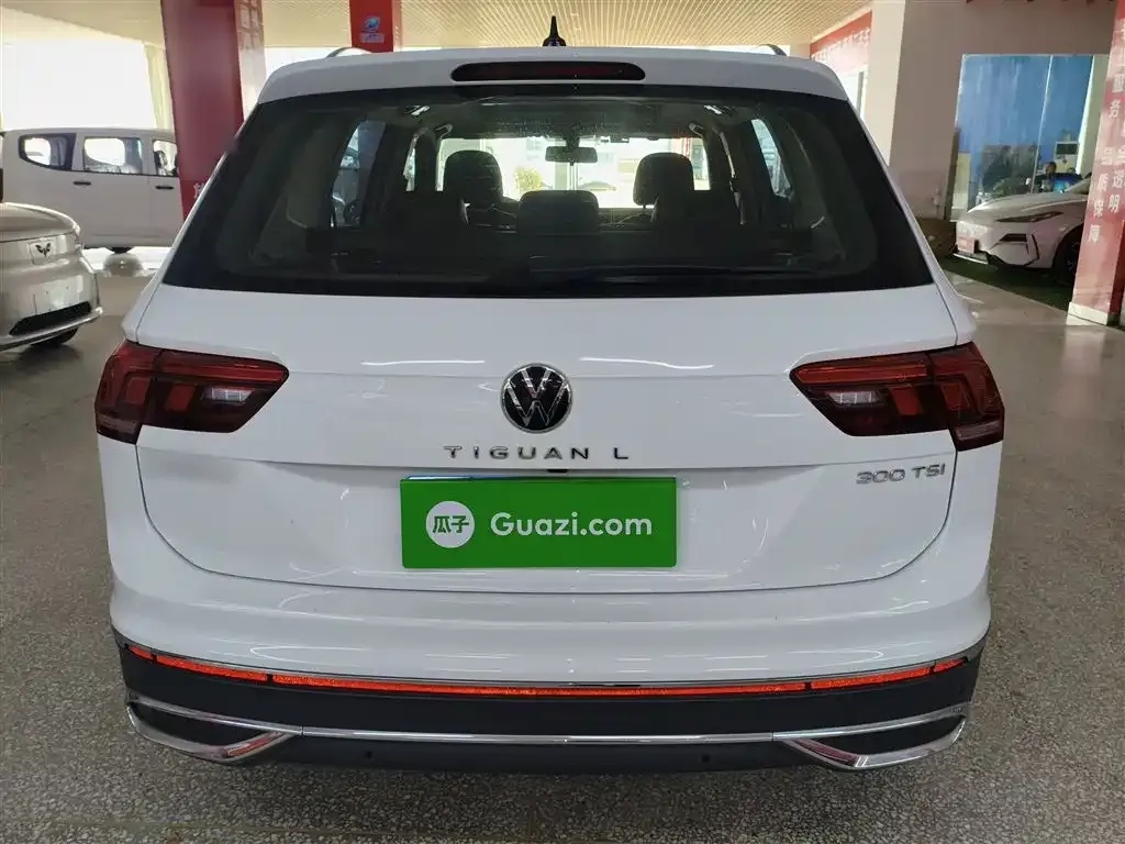 Volkswagen Tiguan L 2023 из CN, фото 6